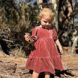 Vignette Noah Dress Rust Velvet