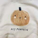 Quincy Mae Relaxed Fleece Sweatshirt and Pant Set Pumpkin