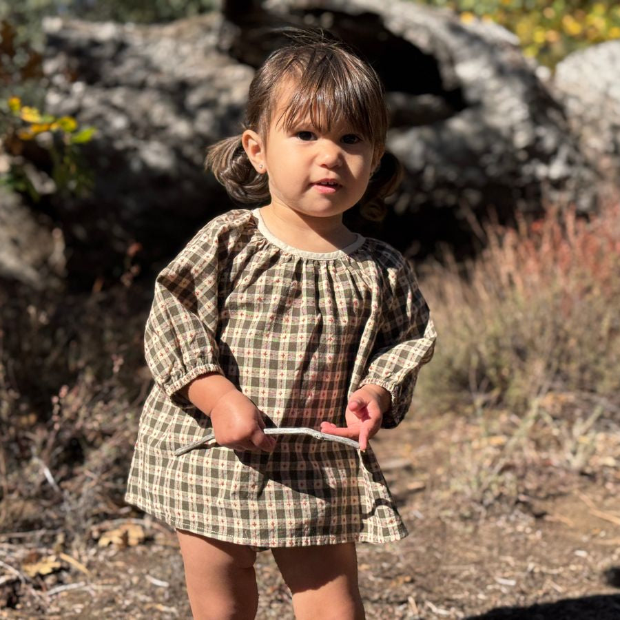 A young toddler girl wearing a brown and beige plaid long-sleeve dress, standing outdoors in a natural setting with rocks and dry brush in the background.
