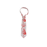 BeGirl Clothing Boys Classic Tie - Red Toille