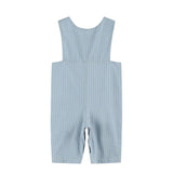 Lil Cactus Blue Pinstripe Brown Smocked Overalls