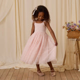 Noralee Poppy Dress Blush