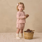Quincy Mae Bow with Clip Set of 3 - Cloud, Blue Gingham, Dusty Rose