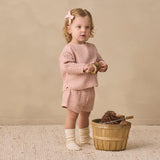 Quincy Mae Bow with Clip Set of 3 - Cloud, Blue Gingham, Dusty Rose