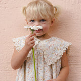 Rylee + Cru Porter Dress Summer Garden