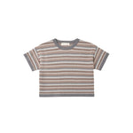 A short-sleeve knit crop top with horizontal stripes in brown, beige, and gray, featuring solid gray ribbed trim on the crew neck, sleeve cuffs, and hem, displayed on a light gray background.