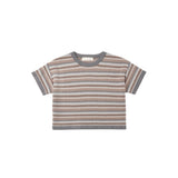 A short-sleeve knit crop top with horizontal stripes in brown, beige, and gray, featuring solid gray ribbed trim on the crew neck, sleeve cuffs, and hem, displayed on a light gray background.