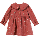 A toddler girl's long-sleeve dress in a textured rust-red crinkle fabric with a small white and yellow floral print. It features a large ruffled Peter Pan collar, a buttoned front with gold buttons, and a gathered waist.