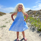 Vignette Maleia Dress Blue Jasmine