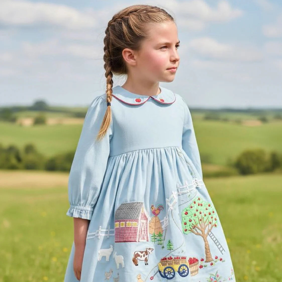A young girl with braided hair wearing a light blue long-sleeve dress with embroidered farm-themed motifs on the skirt, standing outdoors in a grassy field under a cloudy sky.
