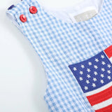 Lil Cactus Blue Gingham USA Flag Pocket Shortalls
