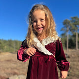 Vignette Carol Dress Red Velvet