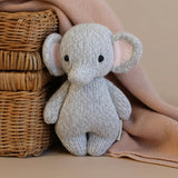 Cuddle + Kind Baby Elephant