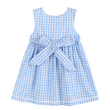 Lil Cactus Blue Gingham Goose A-Line Dress