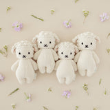 Cuddle + Kind Baby Lamb