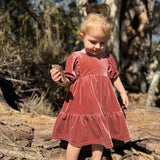Vignette Noah Dress Rose Velvet