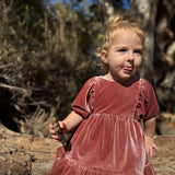 Vignette Noah Dress Rose Velvet