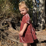 Vignette Noah Dress Rose Velvet