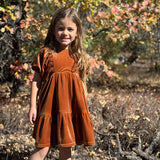 Vignette Noah Dress Rust Velvet