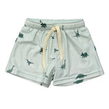 Babysprouts Boys Swim Shorts Dinosaur
